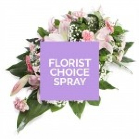 Seasonal Florist Choice Spray in Oasis